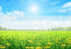 为什么网站的关键词百度上突然找不到了