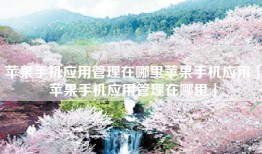 苹果手机应用管理在哪里苹果手机应用「苹果手机应用管理在哪里」