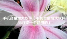 手机音量增大软件（手机音量增大软件排行没一个管用的）