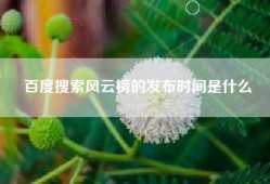 百度搜索风云榜的发布时间是什么