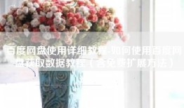 百度网盘使用详细教程-如何使用百度网盘获取数据教程（含免费扩展方法）