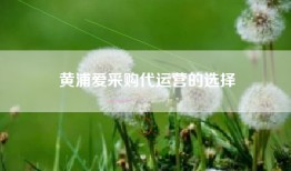 黄浦爱采购代运营的选择