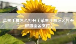 苹果手机怎么打开（苹果手机怎么打开微信面容支付）