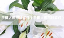 手机人像修图软件（手机人像精修软件）