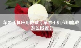 苹果手机应用隐藏（苹果手机应用隐藏怎么设置）