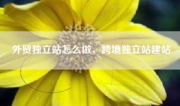 外贸独立站怎么做，跨境独立站建站