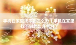 手机在家里找不到怎么办（手机在家里找不到怎么办华为）