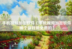 手机视频加密软件（手机视频加密软件哪个最好用免费的）