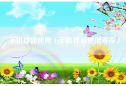 手机存储使用（手机存储使用寿命）