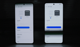 2024 年 LCD 手机大势已去，LCD 永不为奴党们终究还是输了？oled手机「2024 年 LCD 手机大势已去，LCD 永不为奴党们终究还是输了？」