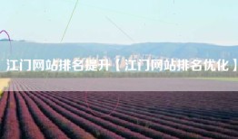 江门网站排名提升【江门网站排名优化】