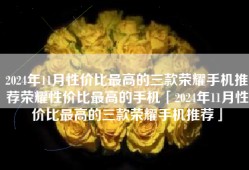 2024年11月性价比最高的三款荣耀手机推荐荣耀性价比最高的手机「2024年11月性价比最高的三款荣耀手机推荐」