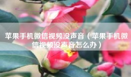 苹果手机微信视频没声音（苹果手机微信视频没声音怎么办）