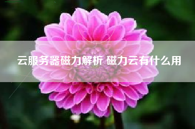 云服务器磁力解析 磁力云有什么用