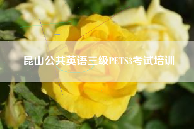 昆山公共英语三级PETS3考试培训