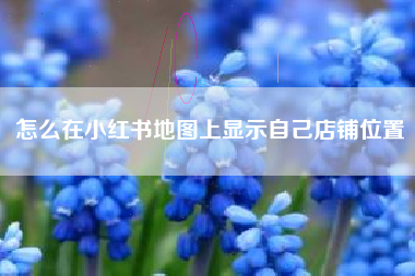 怎么在小红书地图上显示自己店铺位置