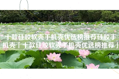 十款硅胶软壳手机壳优选榜推荐硅胶手机壳「十款硅胶软壳手机壳优选榜推荐」
