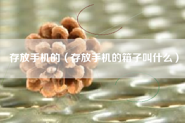 存放手机的（存放手机的箱子叫什么）