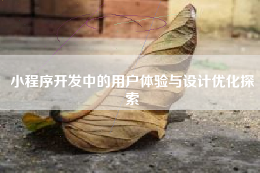 小程序开发中的用户体验与设计优化探索