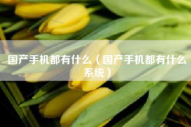 国产手机都有什么（国产手机都有什么系统）