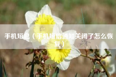 手机短息（手机短信通知关闭了怎么恢复）