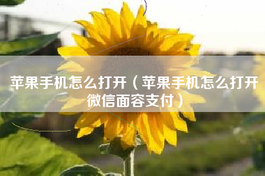 苹果手机怎么打开（苹果手机怎么打开微信面容支付）