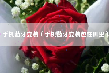 手机蓝牙安装（手机蓝牙安装包在哪里）