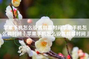 苹果手机怎么设置屏幕时间苹果手机怎么调时间「苹果手机怎么设置屏幕时间」