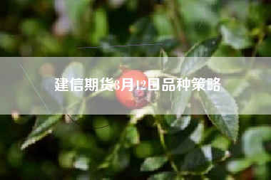 建信期货3月12日品种策略