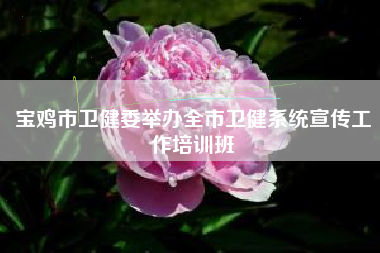 宝鸡市卫健委举办全市卫健系统宣传工作培训班
