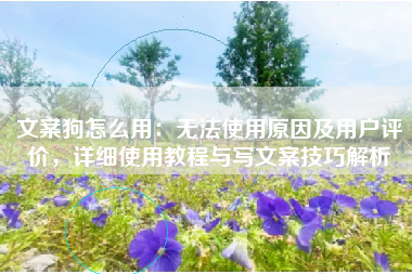 文案狗怎么用：无法使用原因及用户评价，详细使用教程与写文案技巧解析